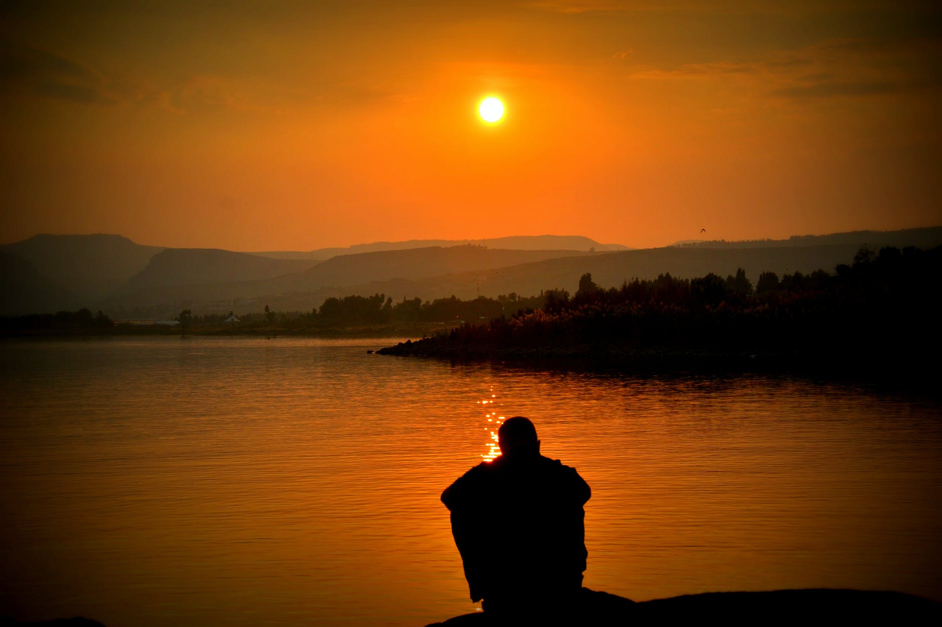 Does Life Have True Meaning?
